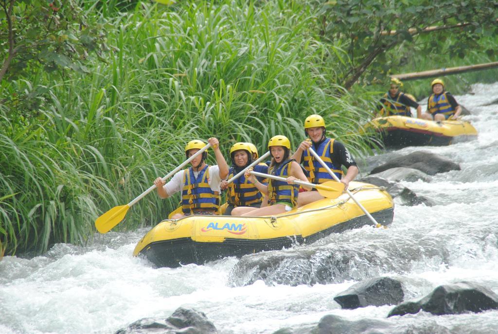 The Reinhold Bali Guest house Kerobokan (Bali)