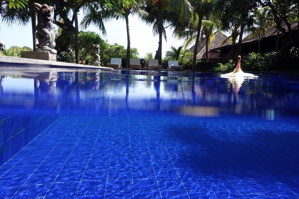 Liberty Dive Guest house 3*