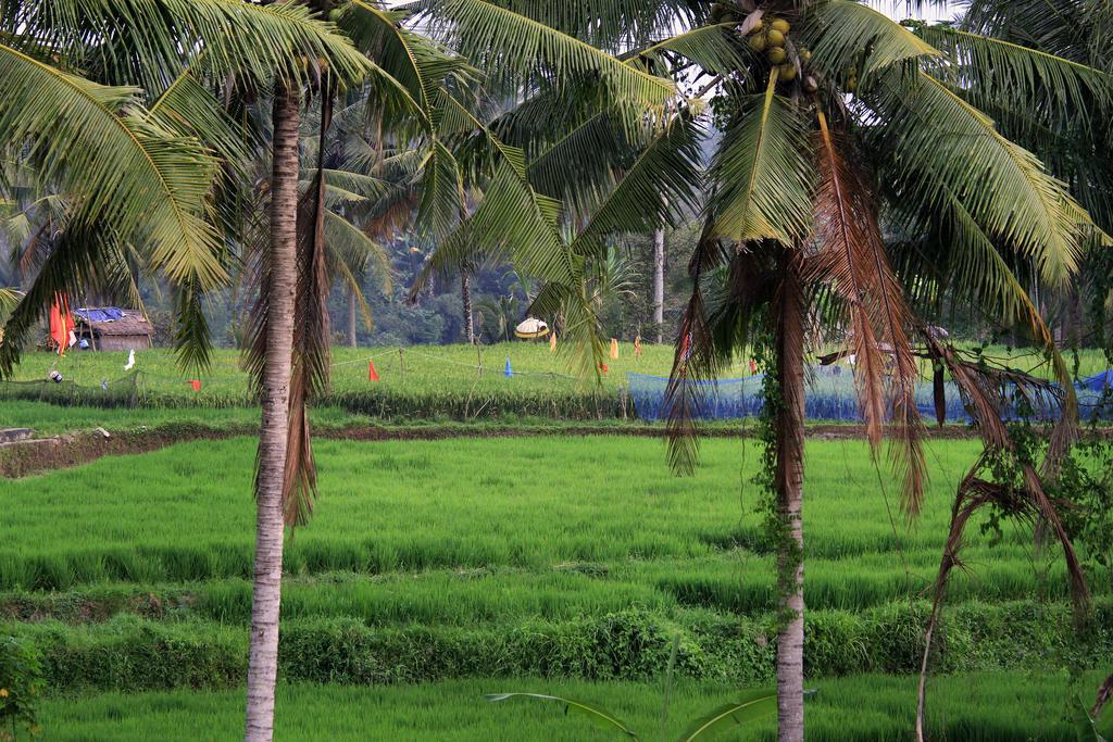 Hotel Puri Padma