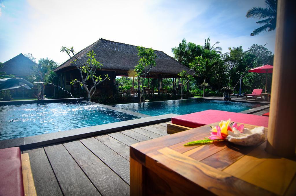 Holiday park The Jingga 3*