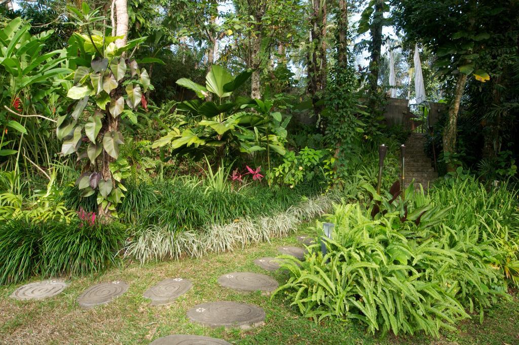 Villa Umah Shanti Ubud (Bali)