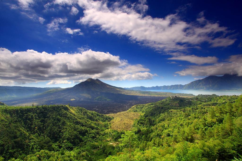 Hanging Gardens Of Bali 5* Payangan