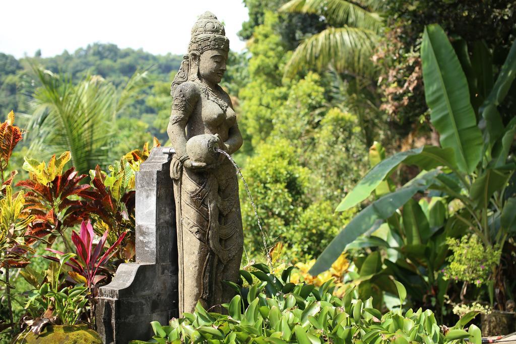 Holiday park Patria Lovina (Bali)