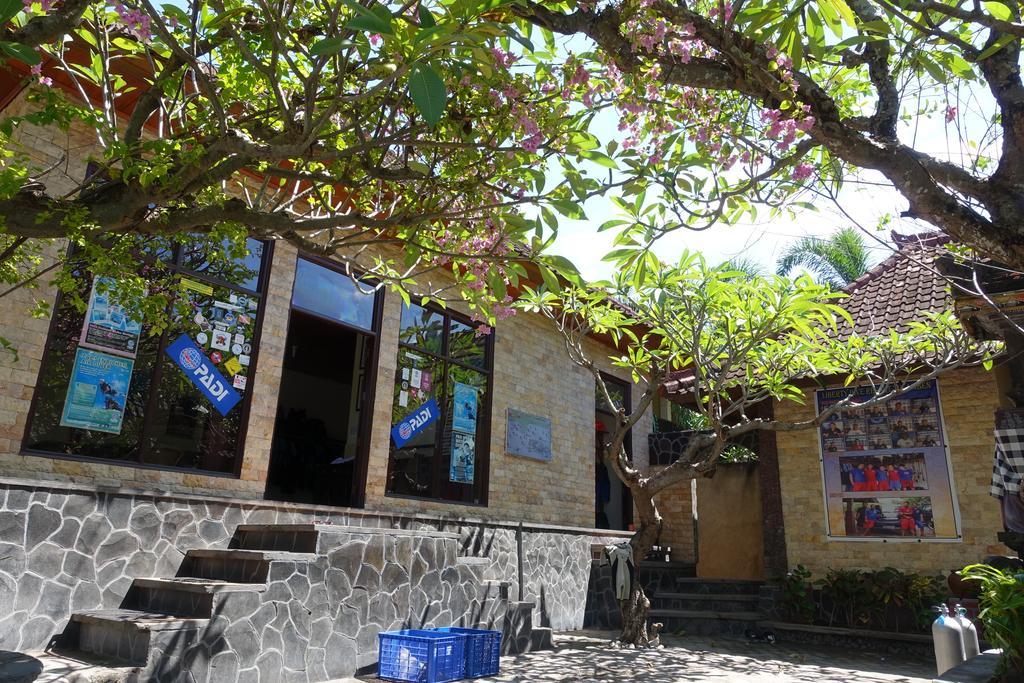 Guest house Liberty Dive