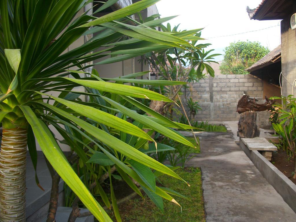 Putra'lebah Amed (Bali)