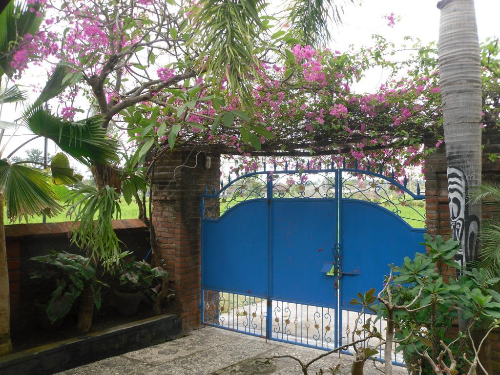 Murni * Lovina (Bali)