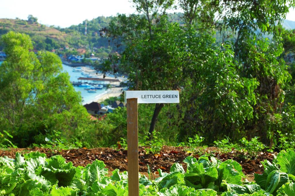 Bloo Lagoon Village * Padangbai (Bali)