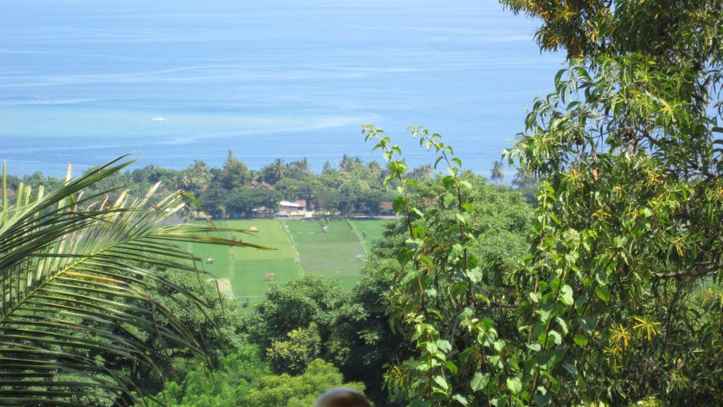 The Raja Singha Boutique Bali Villa Lovina (Bali)