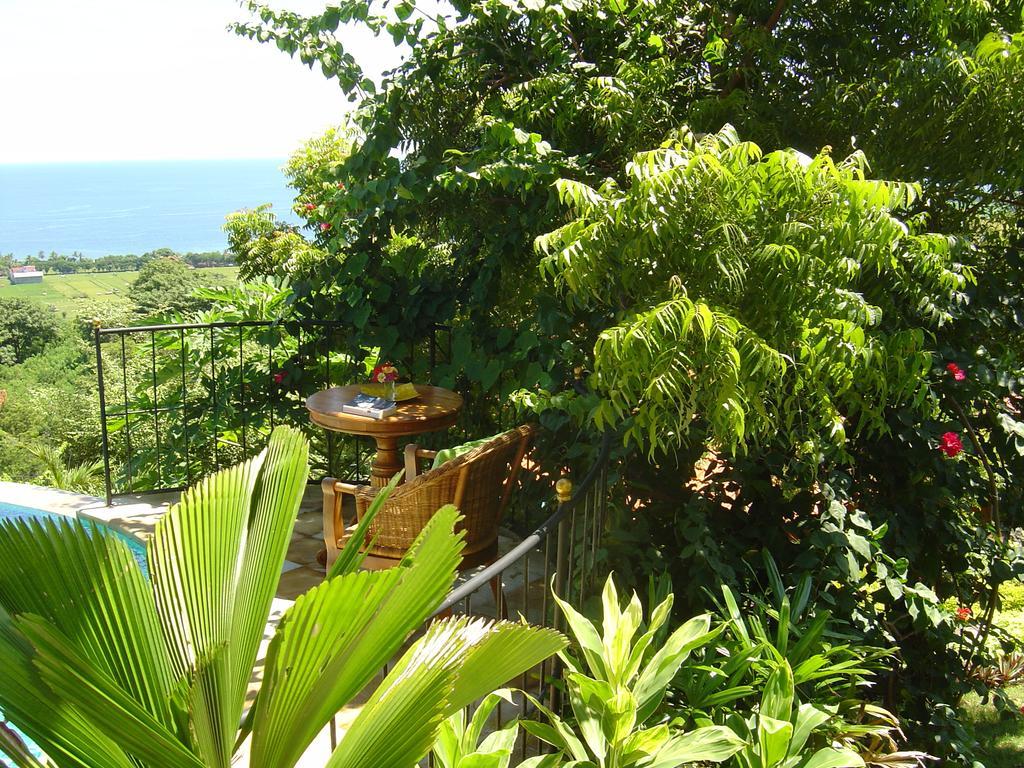 Villa The Raja Singha Boutique Bali Lovina (Bali)