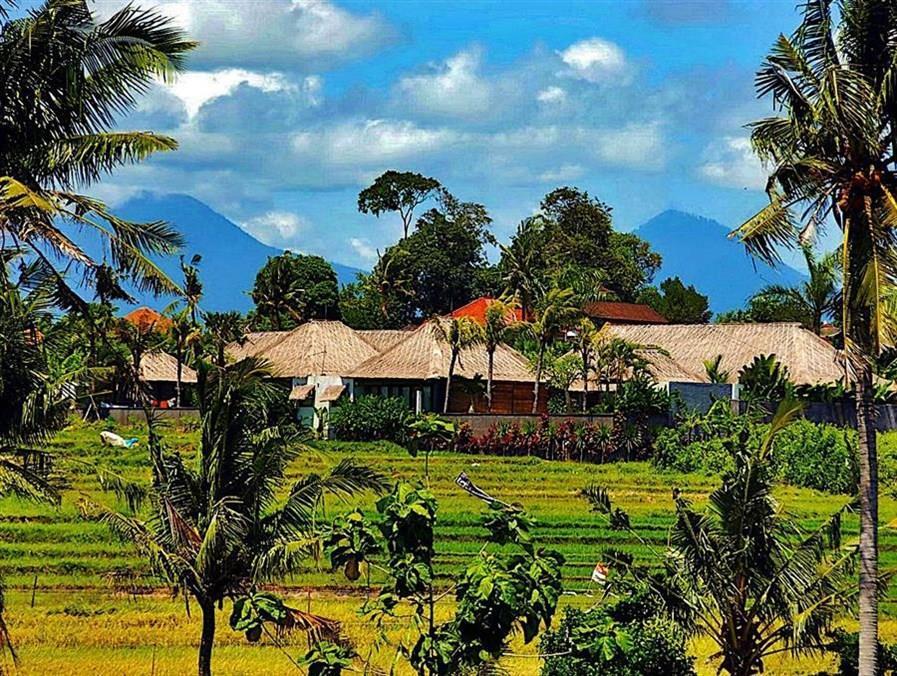 Villa The Zala Canggu (Bali)