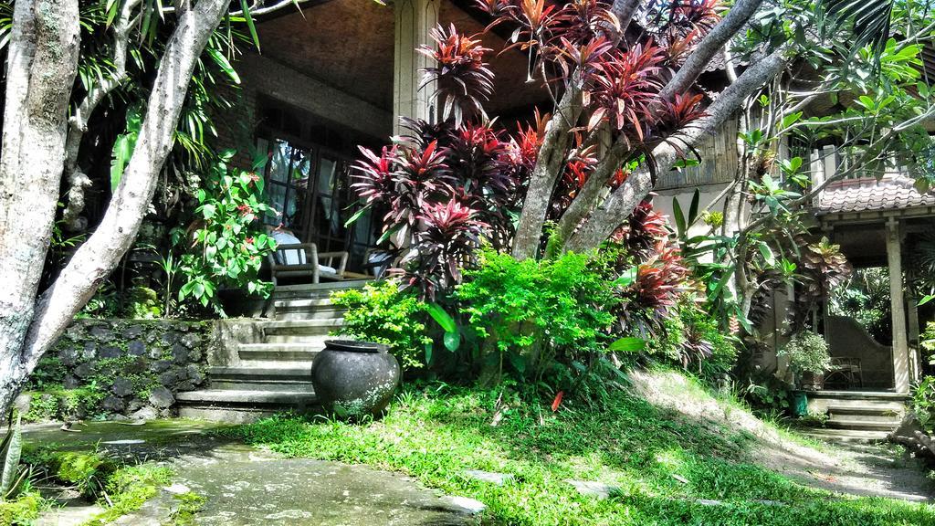 Puri Sawah Bungalows & Restaurant Guest house Karangasem (Bali)