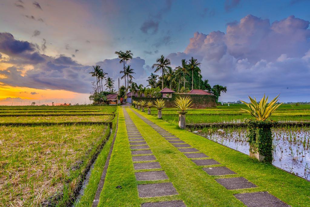 Villa Kaba Kaba Canggu (Bali)
