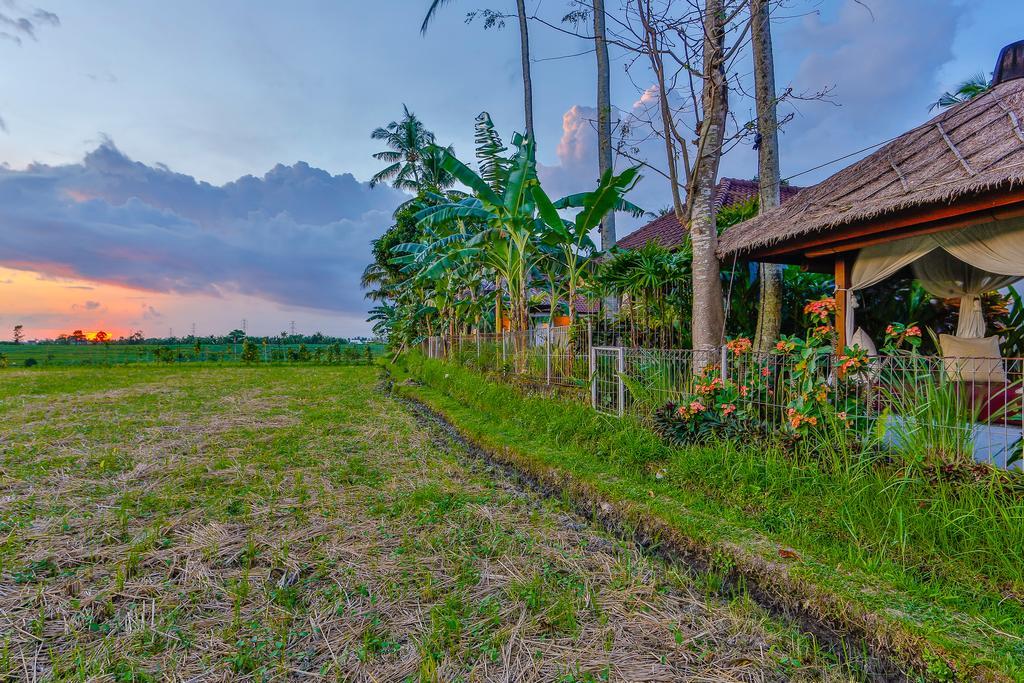 Kaba Kaba * Canggu (Bali)