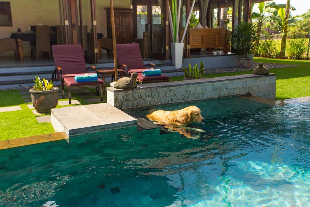 Villa Kaba Kaba Canggu (Bali)