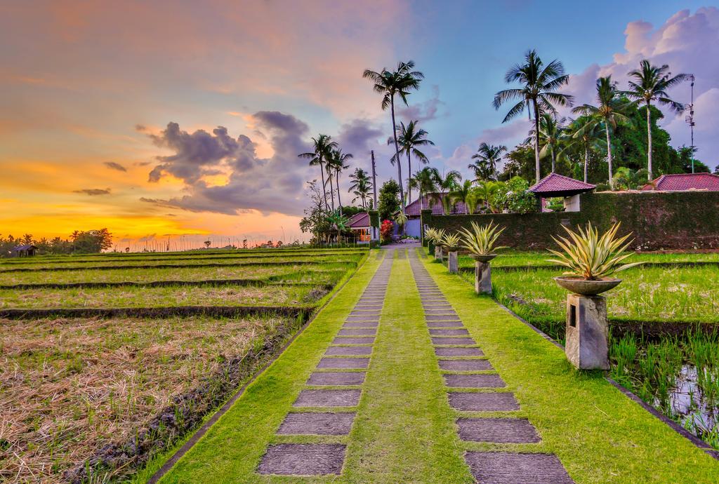 Kaba Kaba * Canggu (Bali)