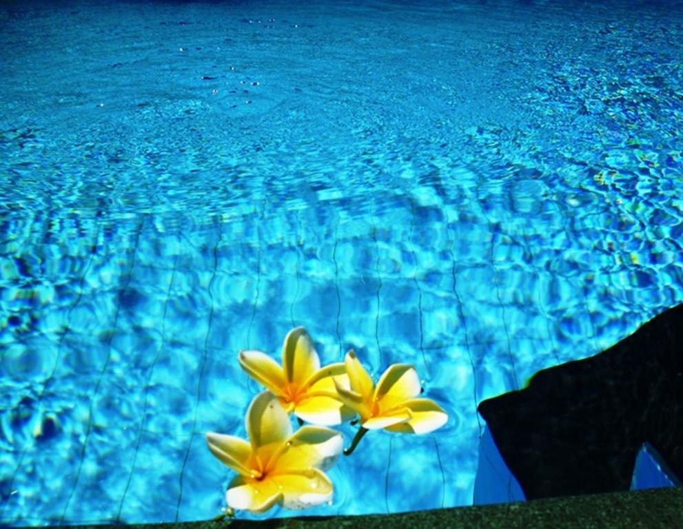 Sama's And Bed & Breakfast Ubud (Bali)