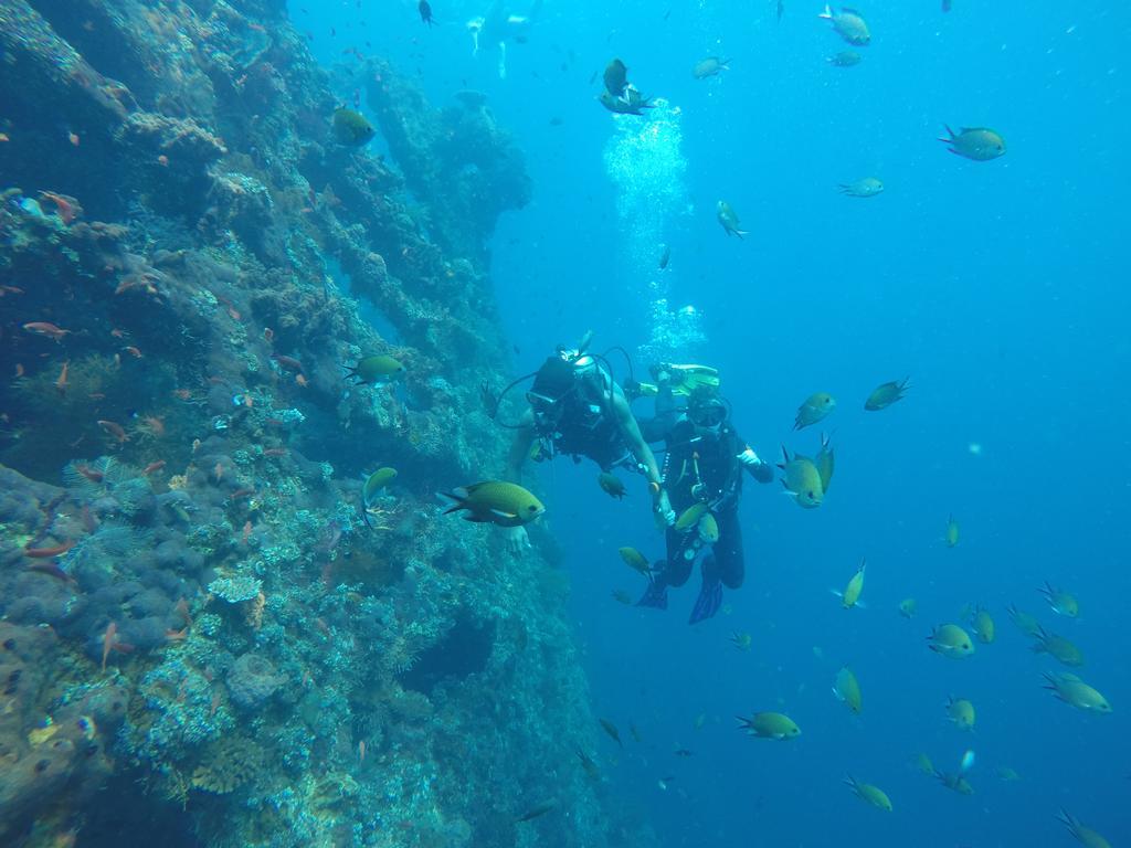 Resort Ocean View Dive & Tulamben (Bali)