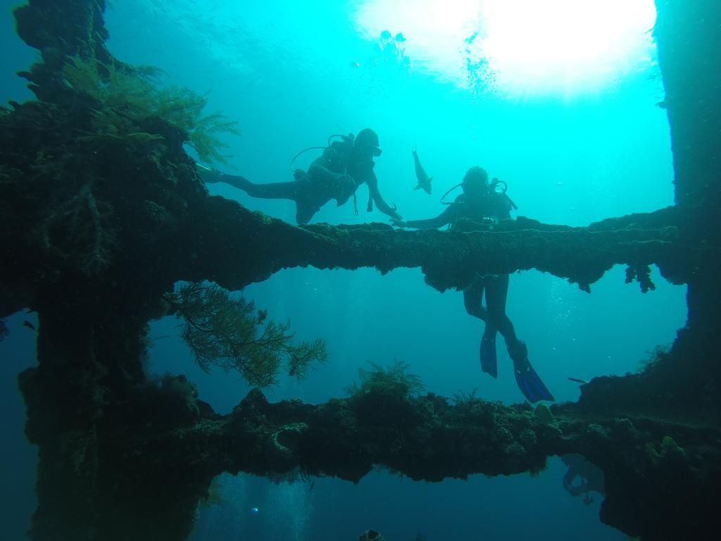Resort Ocean View Dive & Tulamben (Bali)