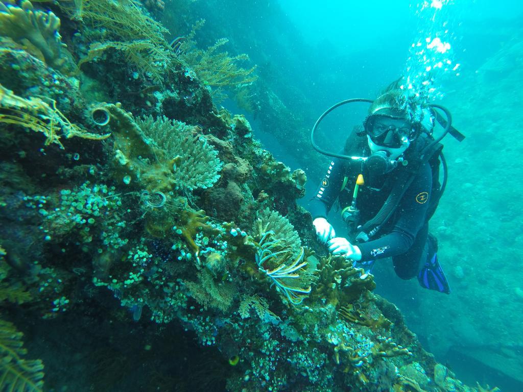 Ocean View Dive & 3* Tulamben (Bali)