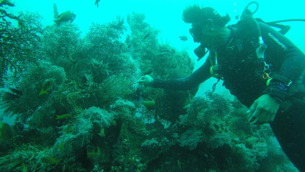Ocean View Dive & Resort Tulamben (Bali)