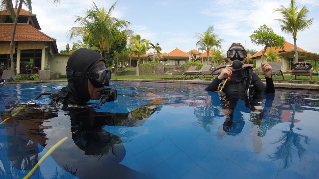 Ocean View Dive & Tulamben (Bali)