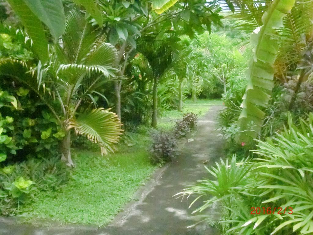 Aldi Homestay *