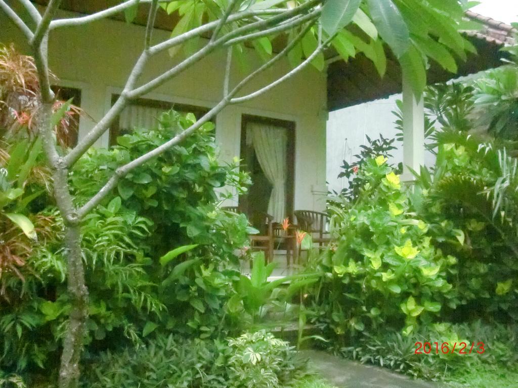 Aldi * Amed (Bali)