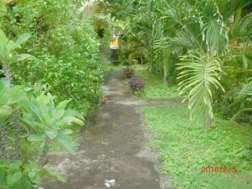 Homestay Aldi *