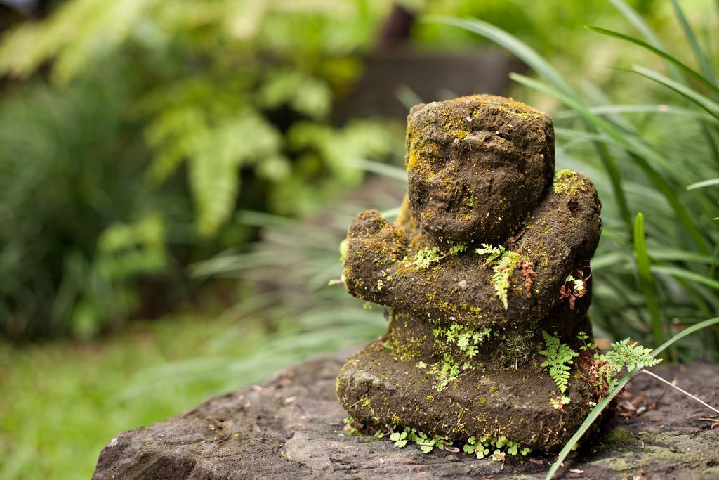Kelusa Ubud (Bali)