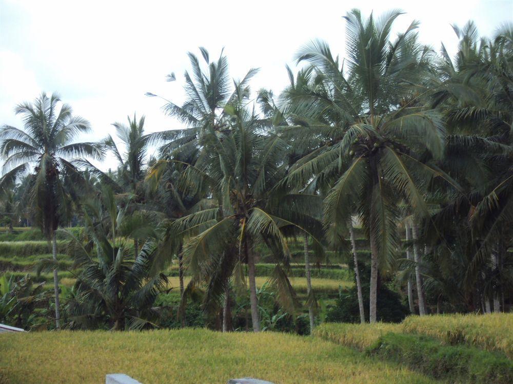 Syailendra Villa *