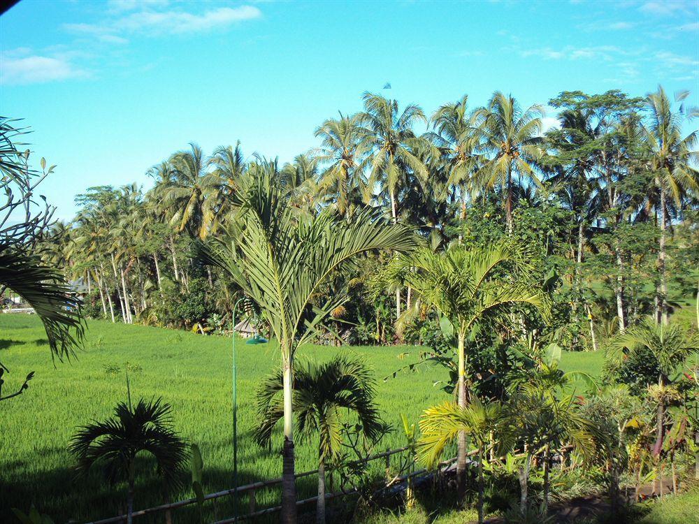 Syailendra * Ubud (Bali)
