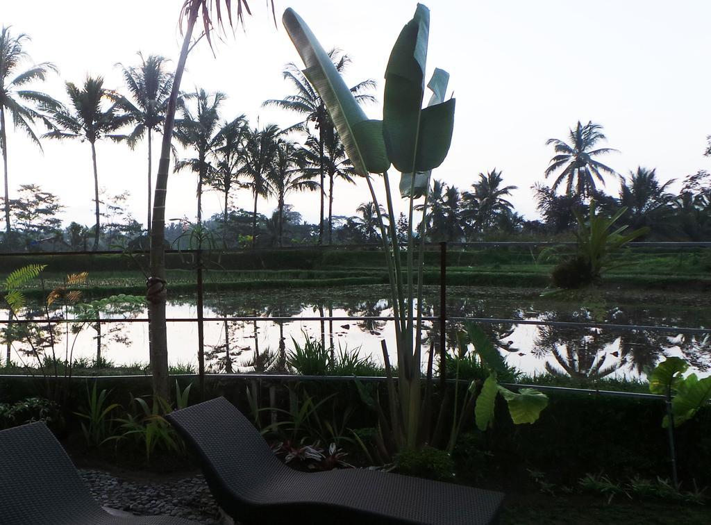 Wisma tamu Kemuning Tegallalang (Bali)