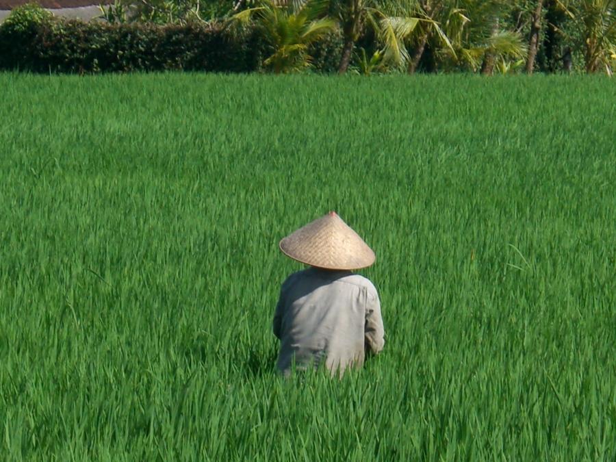 Kaba Kaba Villa Canggu (Bali)