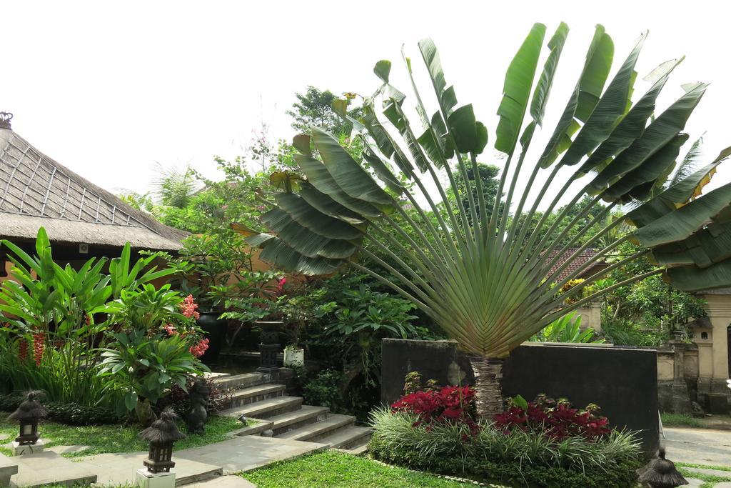 Nirvana Villa *