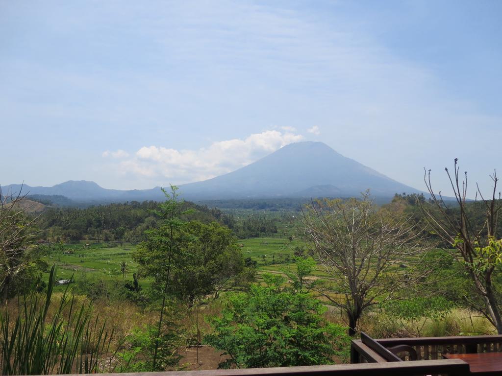 Aashaya