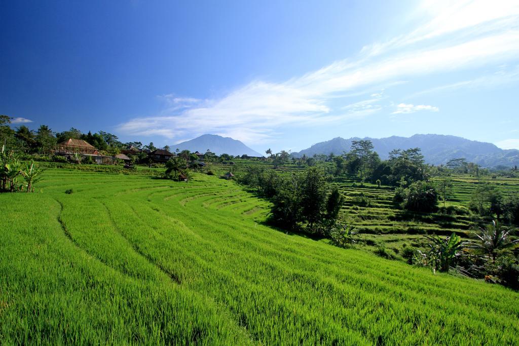 Sawah Indah 3* Sidemen (Bali)