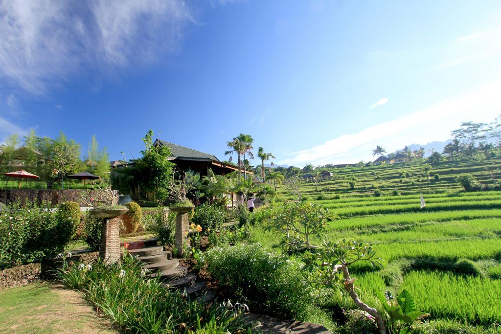 Sawah Indah Guest house Sidemen (Bali)