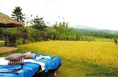 Hotel Puri Bagus 3*