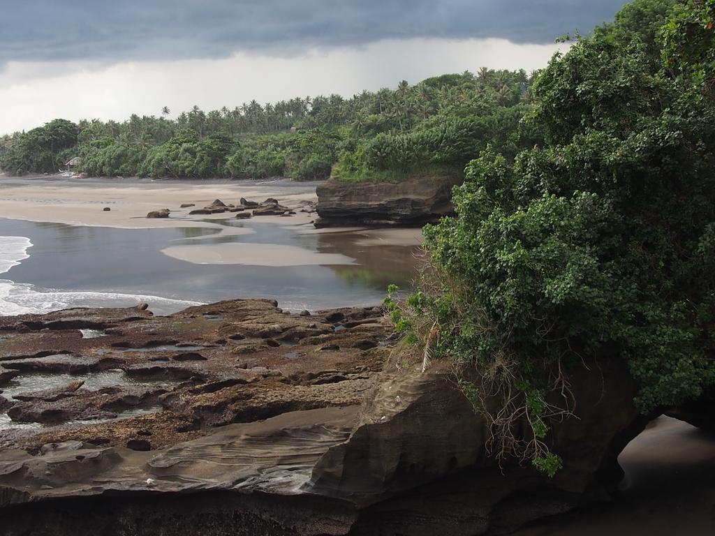 Gajah Mina Beach 3*