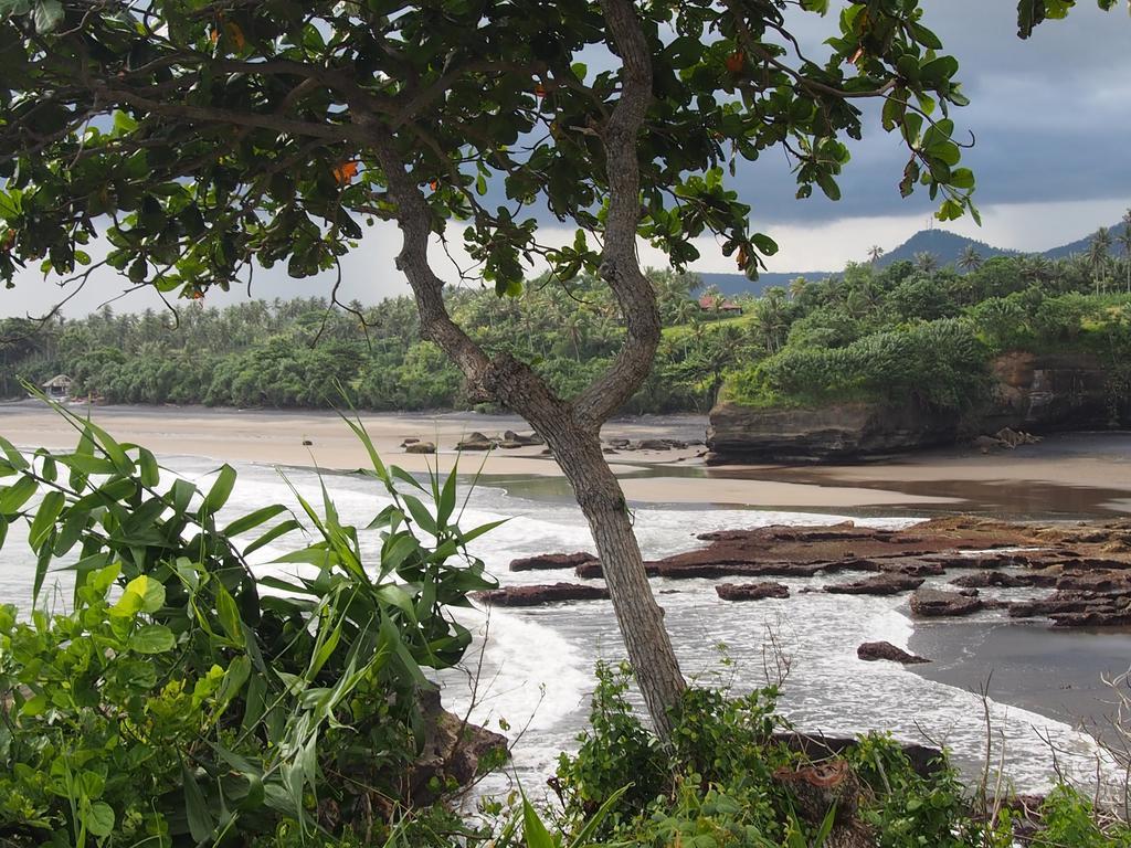 Gajah Mina Beach Resort Selemadeg (Bali)
