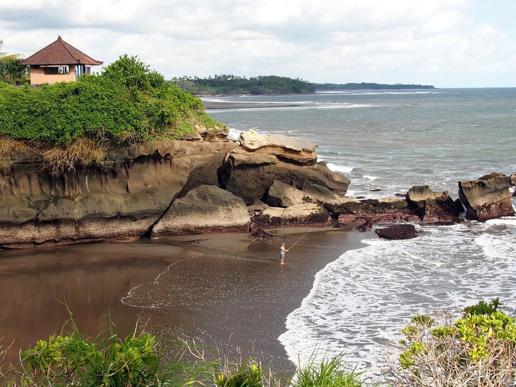Gajah Mina Selemadeg (Bali)