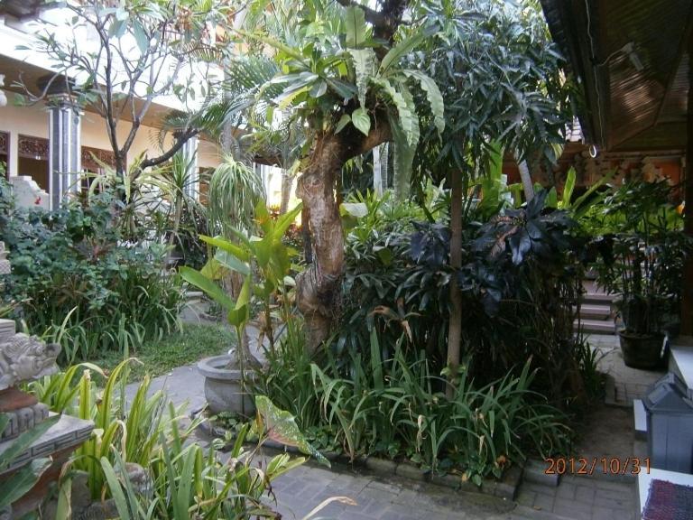 Guest house Adus 2*