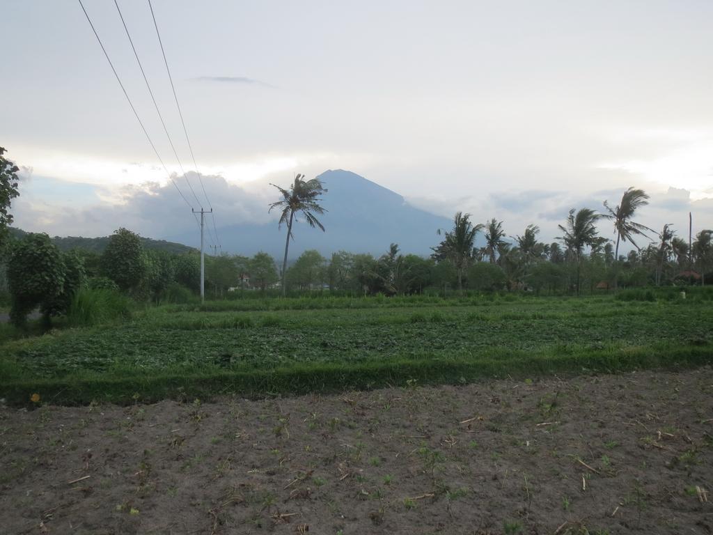 Mesari & Warung Homestay Amed (Bali)