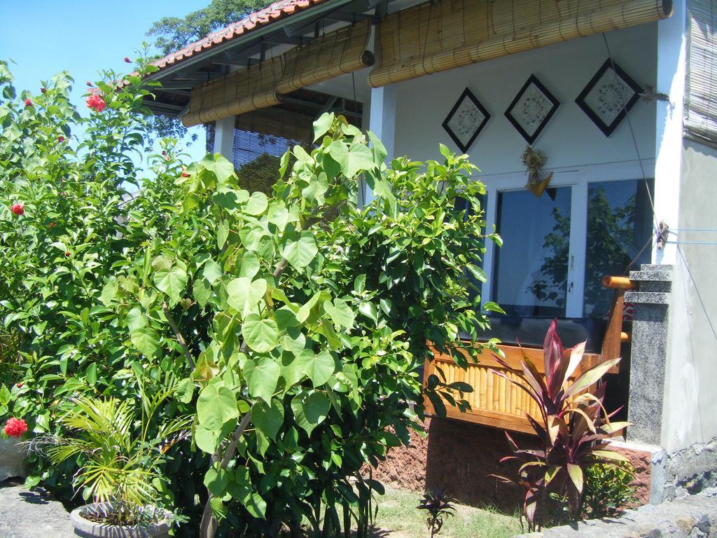 Homestay Alur Amed (Bali)