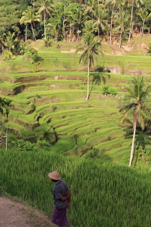 Uma Kama * Ubud (Bali)