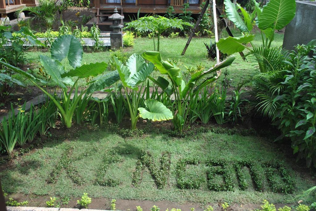 Kencana Garden 3* Nusa Lembongan (Bali)