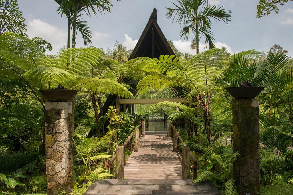 Komaneka At Bisma Resort 5*