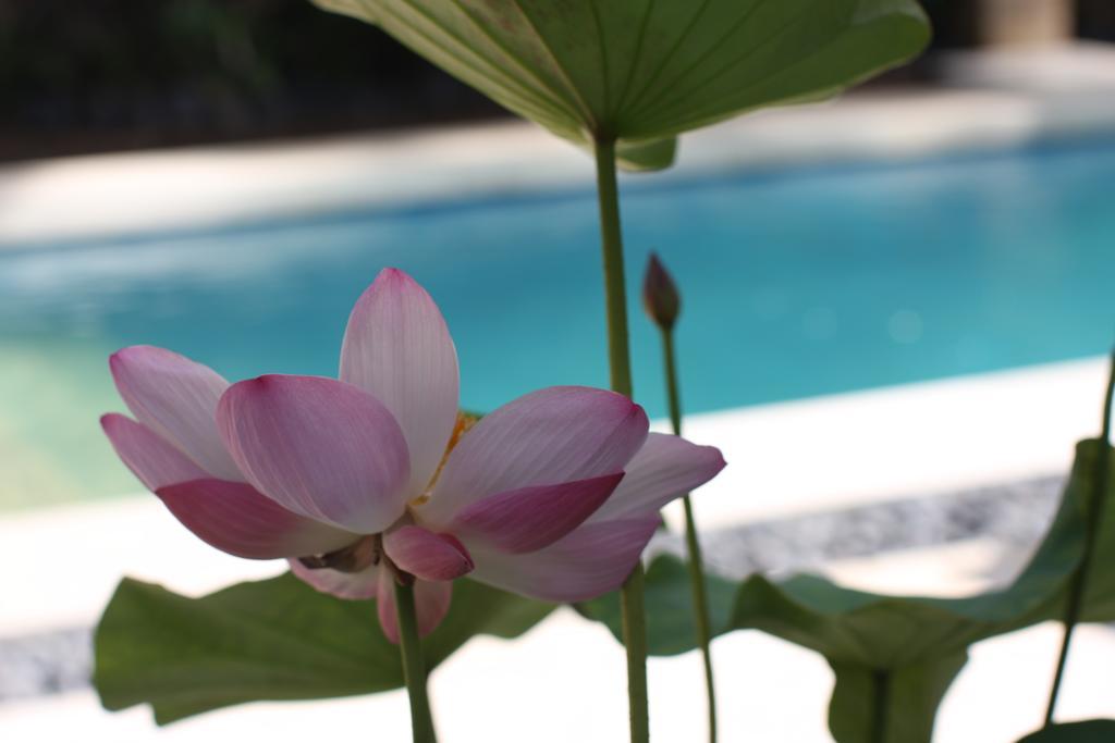 Villa Alu Lima Seminyak (Bali)