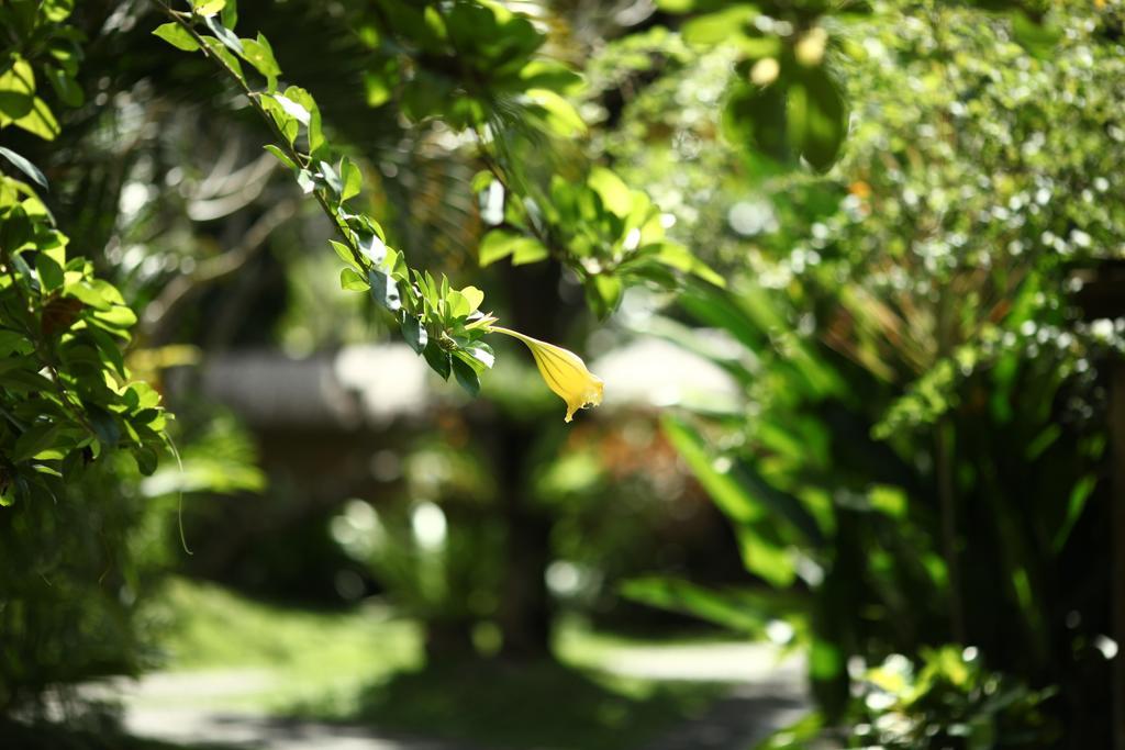 Bali Agung Village - Chse Certified Hotel 3*