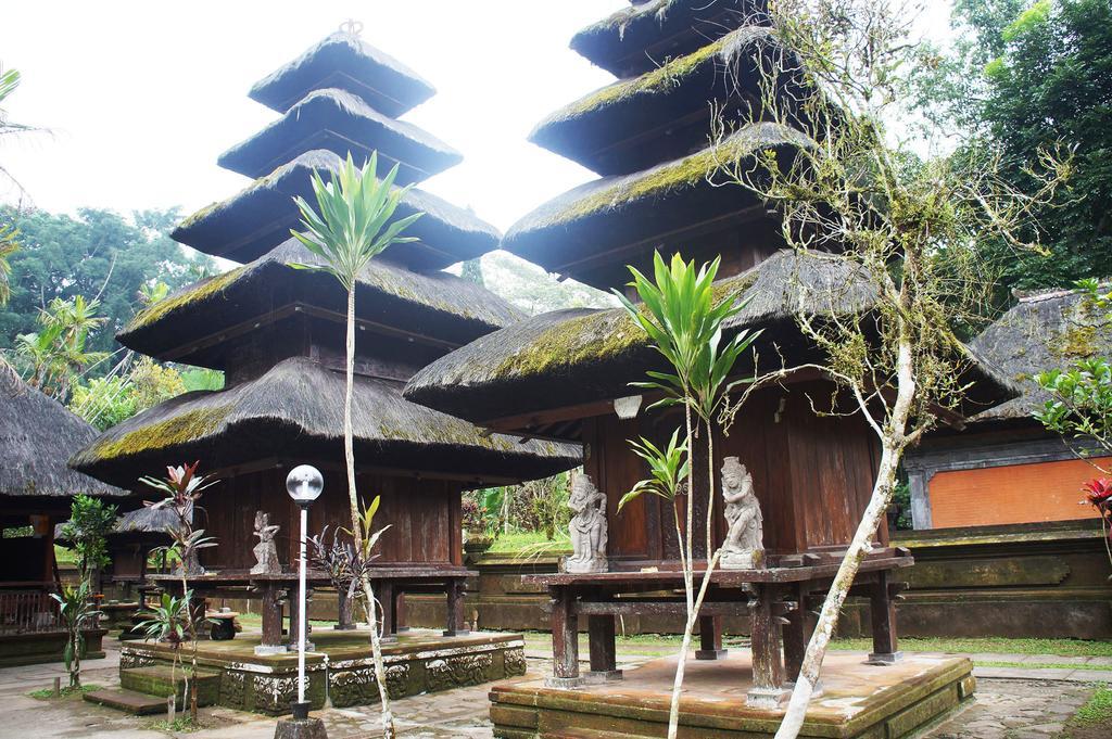 Yeh Panes Hot Spring 4* Penebel